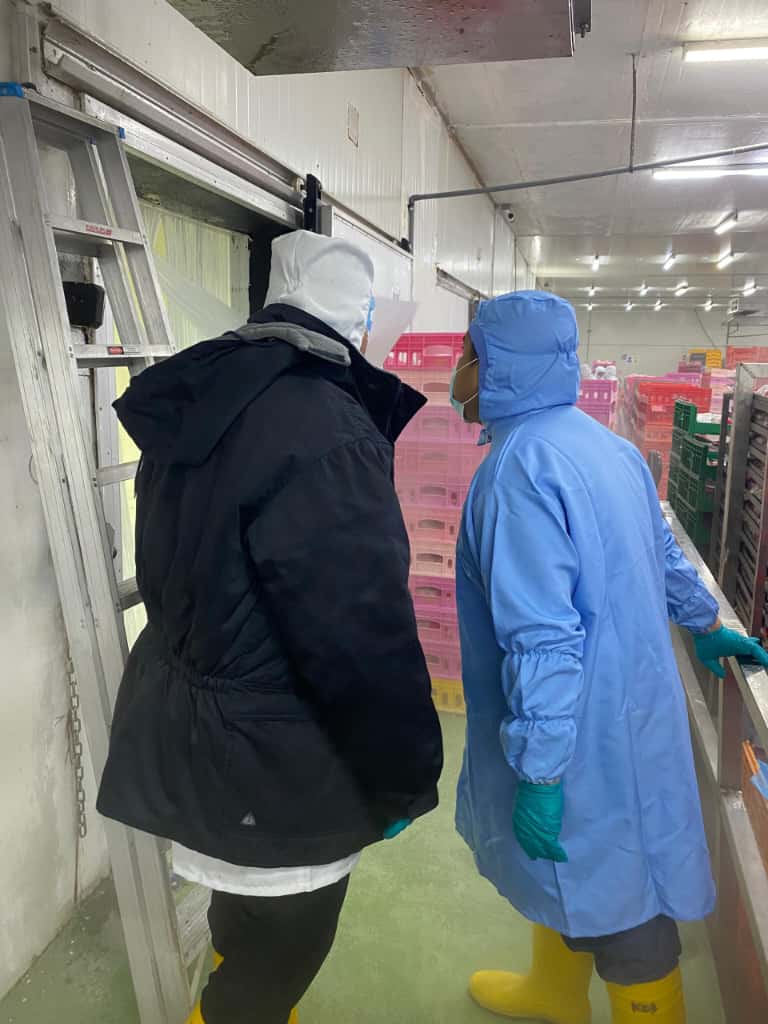 Our 2-man team for the installation, Cyrus and Ethan.