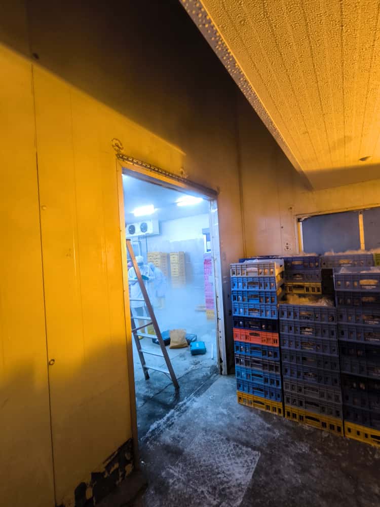 One of the blast freezers of our client where the Testo Saveris 2-T2 was installed.